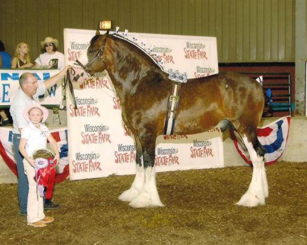 stallion Plunton Calum Maelogan (Clydesdale, 2000, from Thistle Ridge Argyll Enhancer)