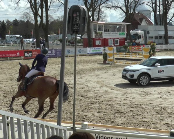 Lenklarer Reitertage 2016