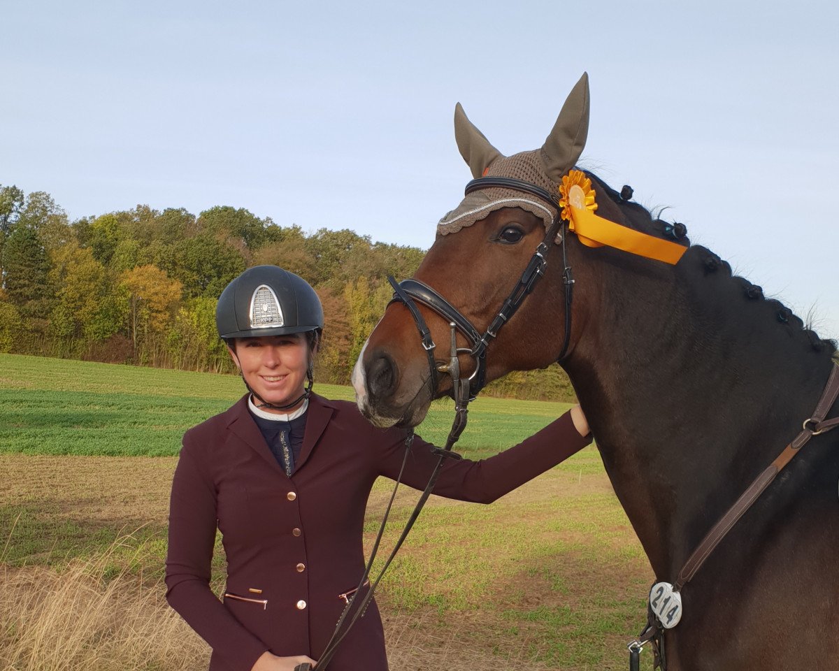 broodmare Clintissima H (Hanoverian, 2015, from Clinton I)