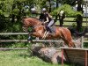 jumper Cuba Libre 74 (Oldenburg show jumper, 2014, from Checkpoint 19)