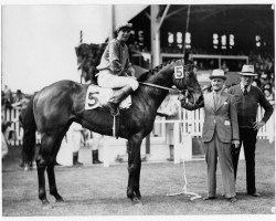 stallion Bunty Lawless xx (Thoroughbred, 1935, from Ladder xx)