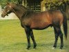 stallion Victoria Park xx (Thoroughbred, 1957, from Chop Chop xx)