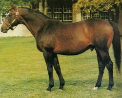 stallion Victoria Park xx (Thoroughbred, 1957, from Chop Chop xx)