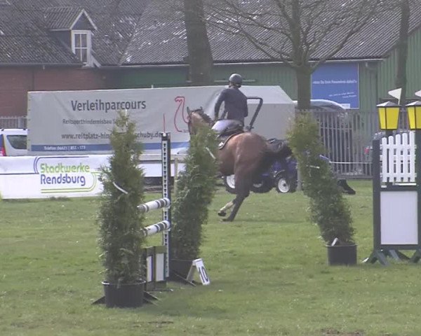 Reitturnier Rendsburg 2016