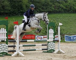 Springpferd Sky's Ladylou (Deutsches Reitpony, 2011, von Cobold Es)