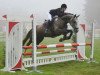 jumper Santa Fee 171 (Hanoverian, 2009, from Santini)