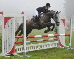 jumper Santa Fee 171 (Hanoverian, 2009, from Santini)