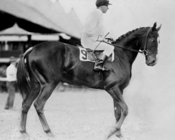 broodmare Regret xx (Thoroughbred, 1912, from Broomstick xx)