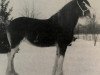 broodmare Benefactor's Marlene (Clydesdale, 1980, from Riverview Benefactor Ideal)