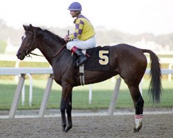 horse Go for Wand xx (Thoroughbred, 1987, from Deputy Minister xx)