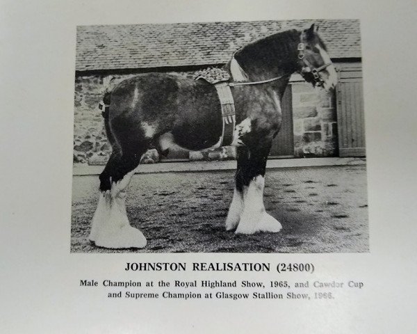 Deckhengst Johnston Realisation (Clydesdale, 1957, von Pearl Stone)