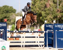 jumper Hasina Bella Mfs (KWPN (Royal Dutch Sporthorse), 2012, from Chin Quin)