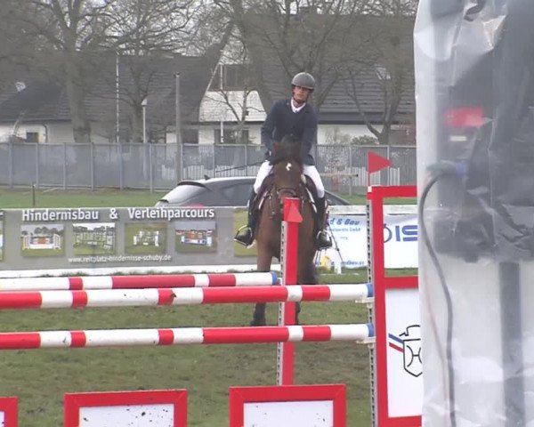 Reitturnier Rendsburg 2016