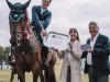 jumper Khan vd Kattevennen Z (Belgian Warmblood, 2012, from Kannan)