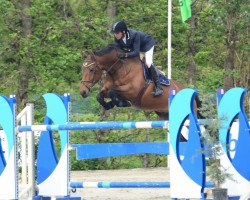 Springpferd Heritage de Goedereede (Belgisches Warmblut, 2007, von Faramir de Goedereede)