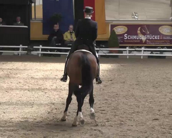 7. Pforzheimer Dressurtage 2016
