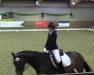 dressage horse Red Diamond 16 (German Warmblood, 2006, from Rubinstein I)