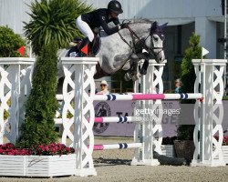 jumper Izzy (KWPN (Royal Dutch Sporthorse), 2013, from Corland)