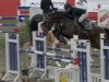 jumper Linda's Conora Blue PS (Oldenburg show jumper, 2014, from Conthargos)