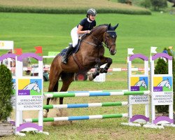 jumper Malibu II CH (Swiss Warmblood, 2004, from Donnerknall-Ben)