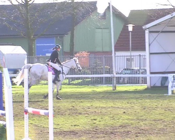 Reitturnier Rendsburg 2016