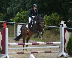 dressage horse Quietschvergnügt 3 (Hanoverian, 2011, from Quaterback)