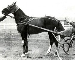 stallion Passeport (FR) (French Trotter, 1915, from Helder (FR))