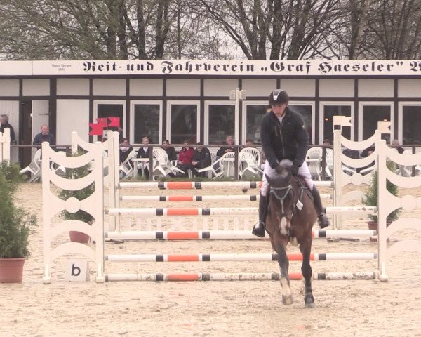 Reitturnier Spenge-Wallenbrück 2016