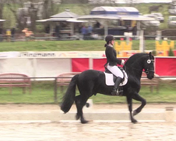 Reitturnier Spenge-Wallenbrück 2016