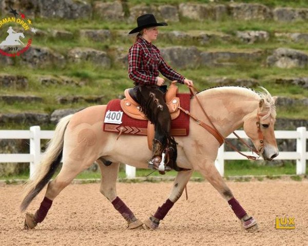 Pferd Avick (Fjordpferd, 1999, von Athos FJH-S 684)