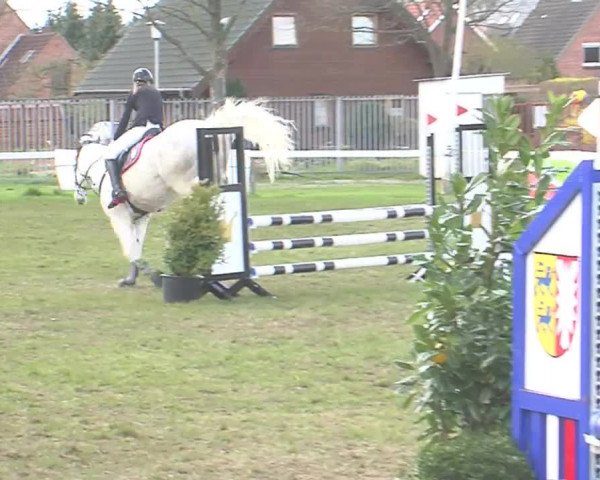 Reitturnier Rendsburg 2016
