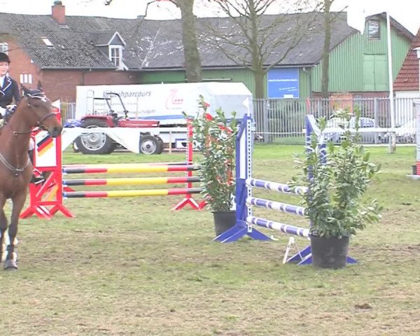 Reitturnier Rendsburg 2016