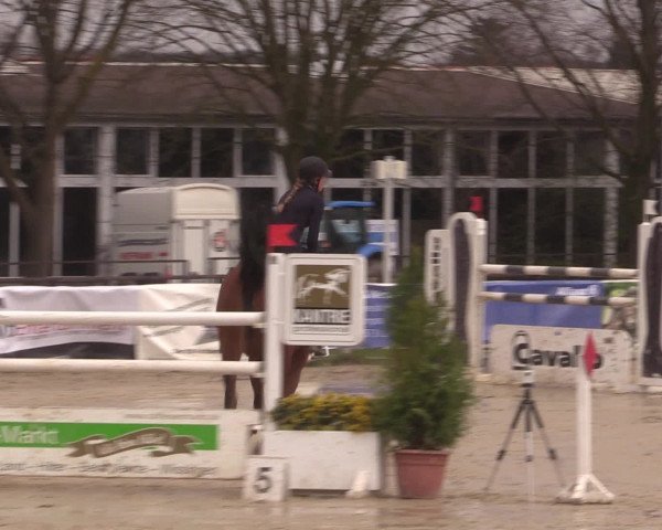 Reitturnier Spenge-Wallenbrück 2016