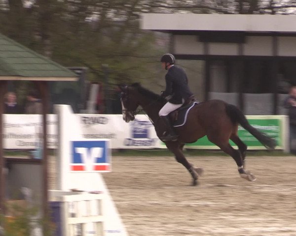 Reitturnier Spenge-Wallenbrück 2016