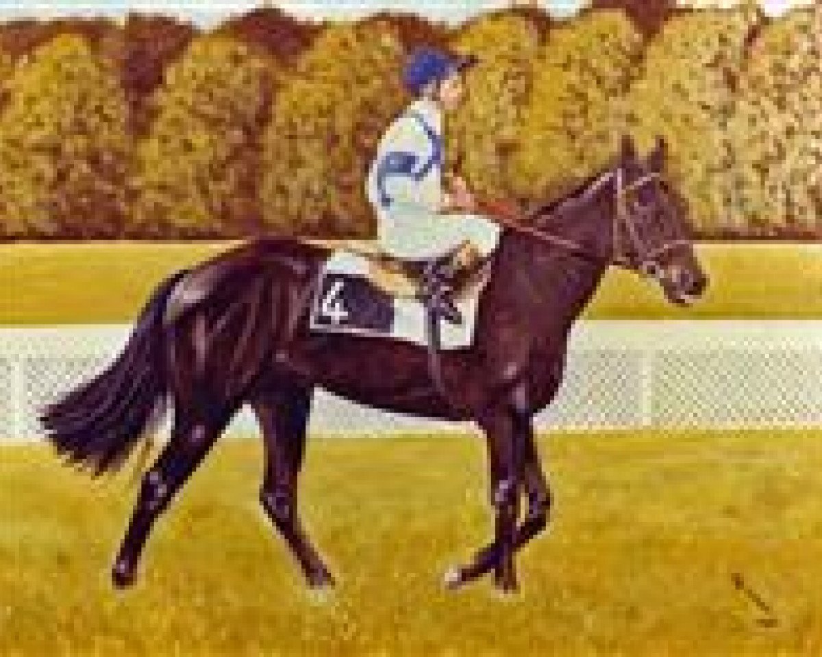 stallion Cadoudal xx (Thoroughbred, 1979, from Green Dancer xx)