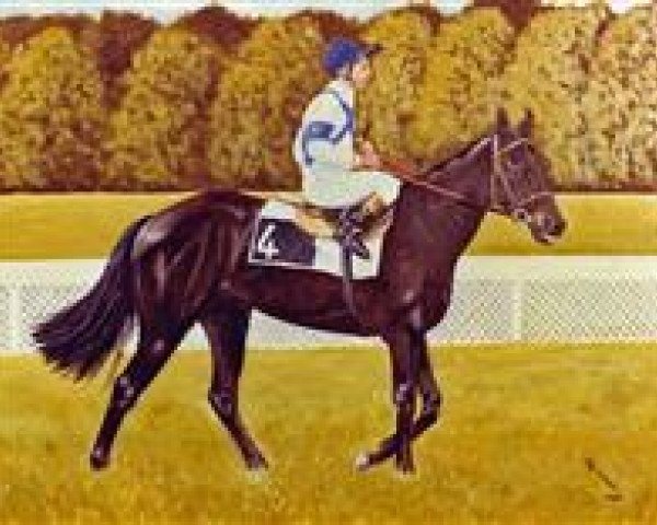 stallion Cadoudal xx (Thoroughbred, 1979, from Green Dancer xx)