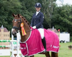 dressage horse Volare B (Rhinelander, 2011, from Vitalis)