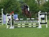 jumper Lascadello 2 (Hanoverian, 2011, from Luganer)