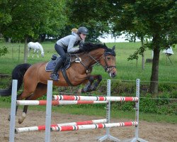 broodmare Cha Lou (Holsteiner, 2010, from Canto)