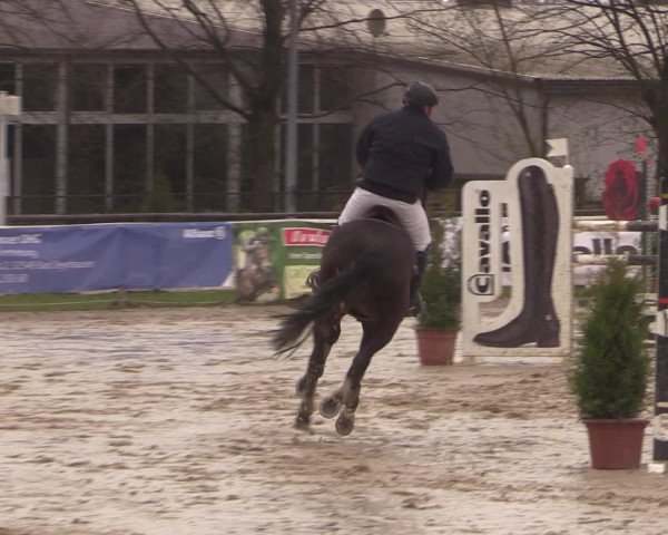 Reitturnier Spenge-Wallenbrück 2016