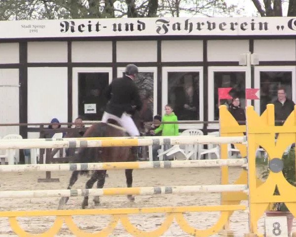 Reitturnier Spenge-Wallenbrück 2016