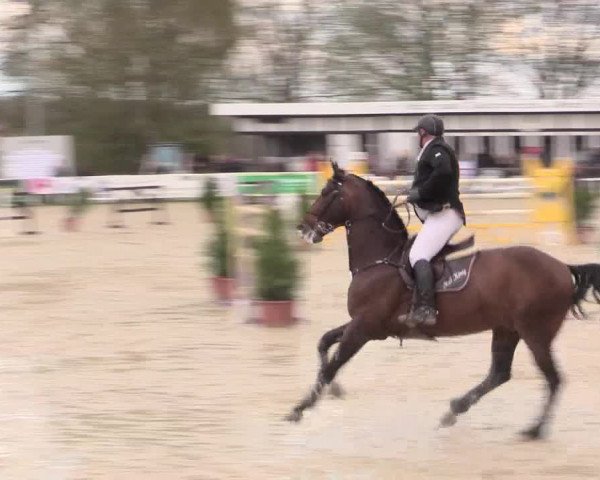 Reitturnier Spenge-Wallenbrück 2016