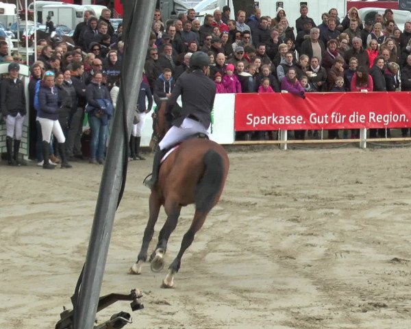 Lenklarer Reitertage 2016