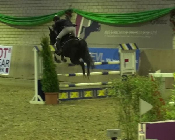 Reitturnier Leverkusen-Rheindorf 2016