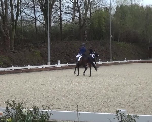 Frühjahrsturnier Mettmann - Reitanlage Löckenhoff 2016