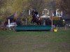 jumper Cobolt (German Riding Pony, 2006, from Colonel)