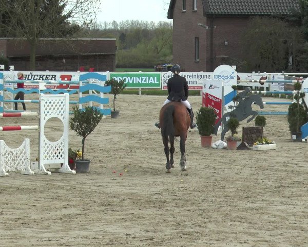 Lenklarer Reitertage 2016