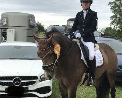 jumper Hochmoor's Lorette (Deutsches Reitpony, 2013, from Dylan)