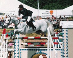 broodmare Janini (KWPN (Royal Dutch Sporthorse), 1991, from Cavalier)