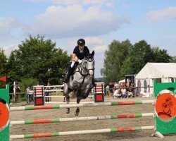 jumper Fresh Girl (Hanoverian, 2011, from First Boy)